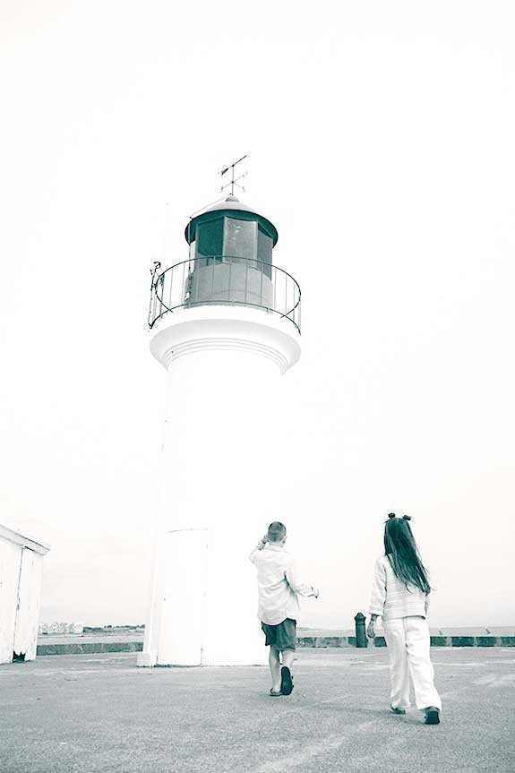 Image module